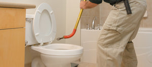 Toilet & Urinal Augers